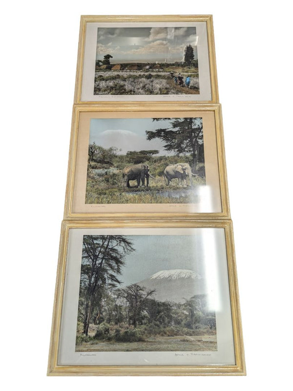 Set of 3- Arthur H Firmin-Photography  Art
