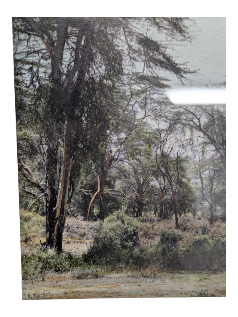 Set of 3- Arthur H Firmin-Photography  Art