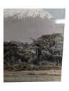 Set of 3- Arthur H Firmin-Photography  Art