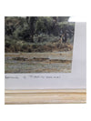 Set of 3- Arthur H Firmin-Photography  Art