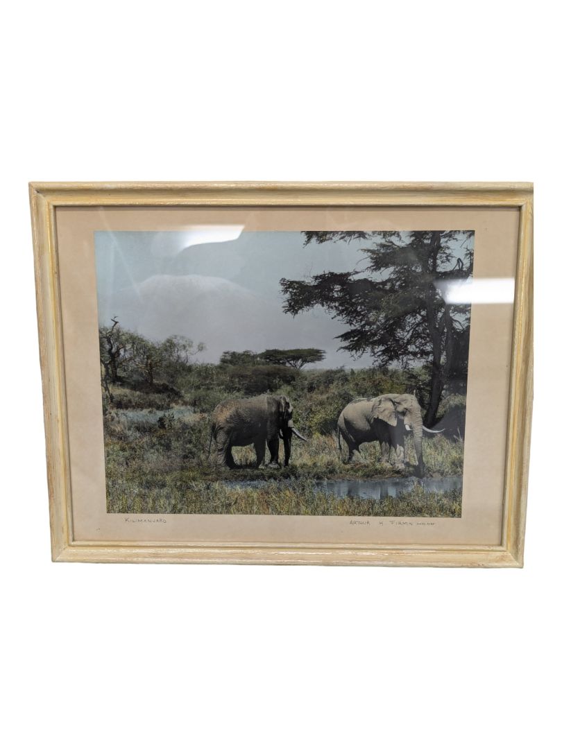 Set of 3- Arthur H Firmin-Photography  Art