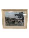 Set of 3- Arthur H Firmin-Photography  Art