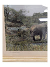 Set of 3- Arthur H Firmin-Photography  Art
