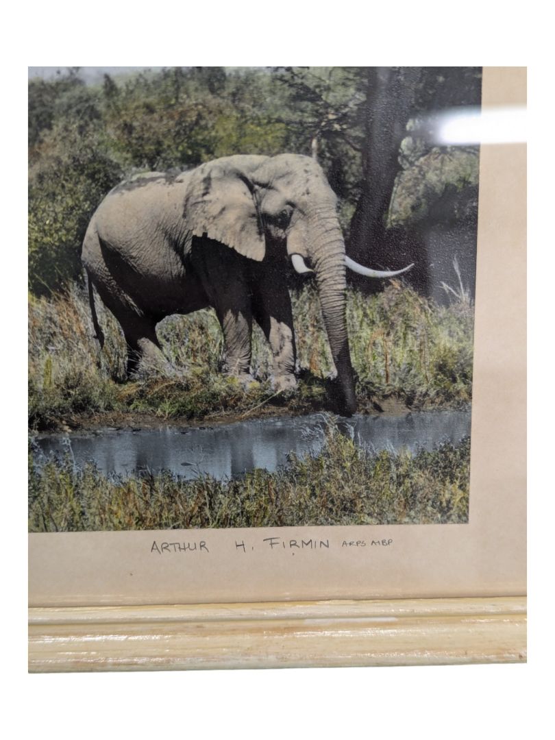 Set of 3- Arthur H Firmin-Photography  Art