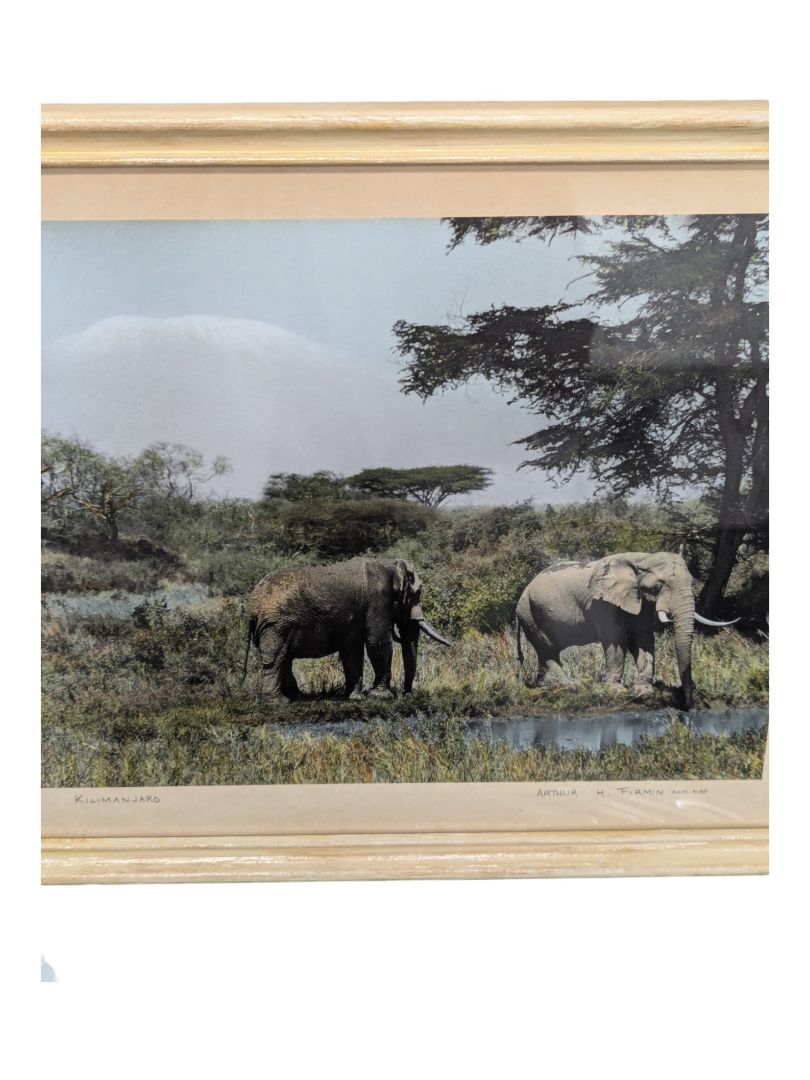 Set of 3- Arthur H Firmin-Photography  Art