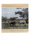 Set of 3- Arthur H Firmin-Photography  Art