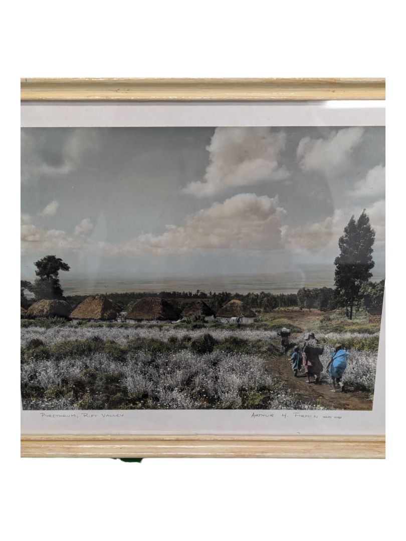 Set of 3- Arthur H Firmin-Photography  Art