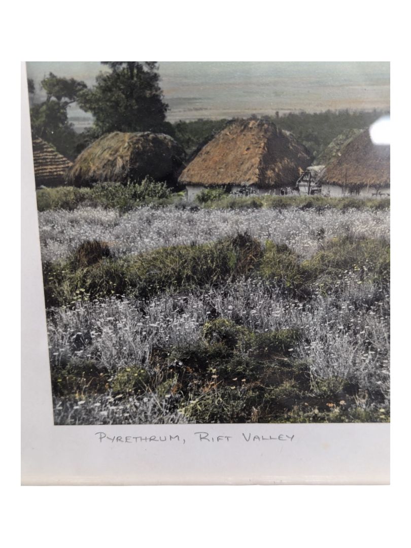 Set of 3- Arthur H Firmin-Photography  Art