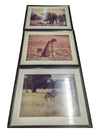 Framed Photography- Cheetah Couple