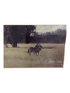 Framed Photography-Zebra Mother and calf