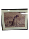Framed Photography- Cheetah Couple