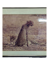 Framed Photography- Cheetah Couple
