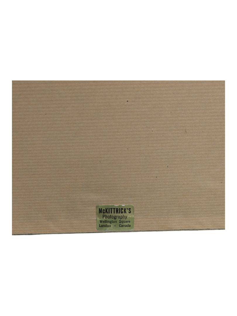 Original Lioness Painting-Signed, Rena