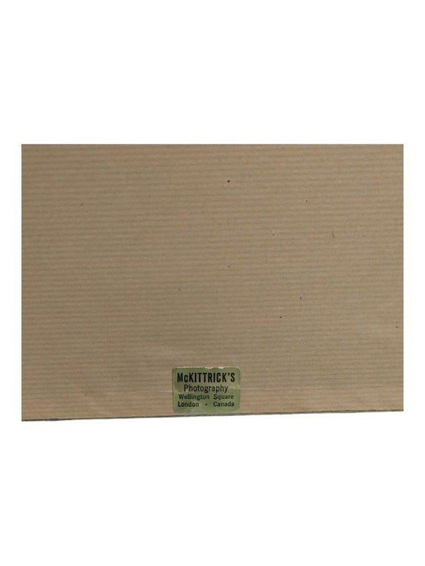 Original Lioness Painting-Signed, Rena