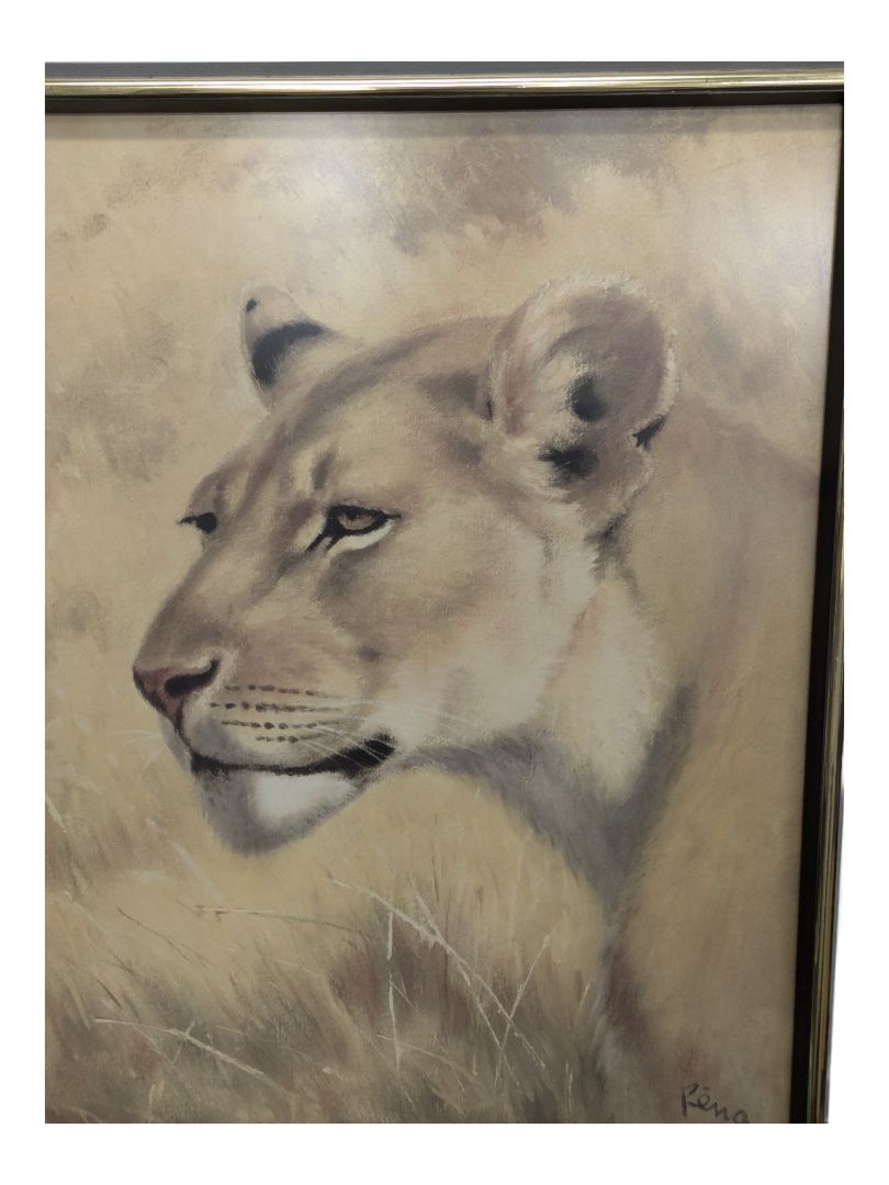 Original Lioness Painting-Signed, Rena