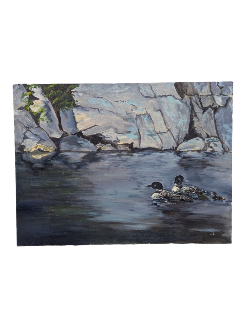 Northern Reflections - Loon Family