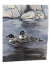 Northern Reflections - Loon Family