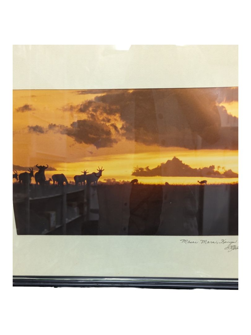 Framed Photography-Masai Mara, Kenya 1977