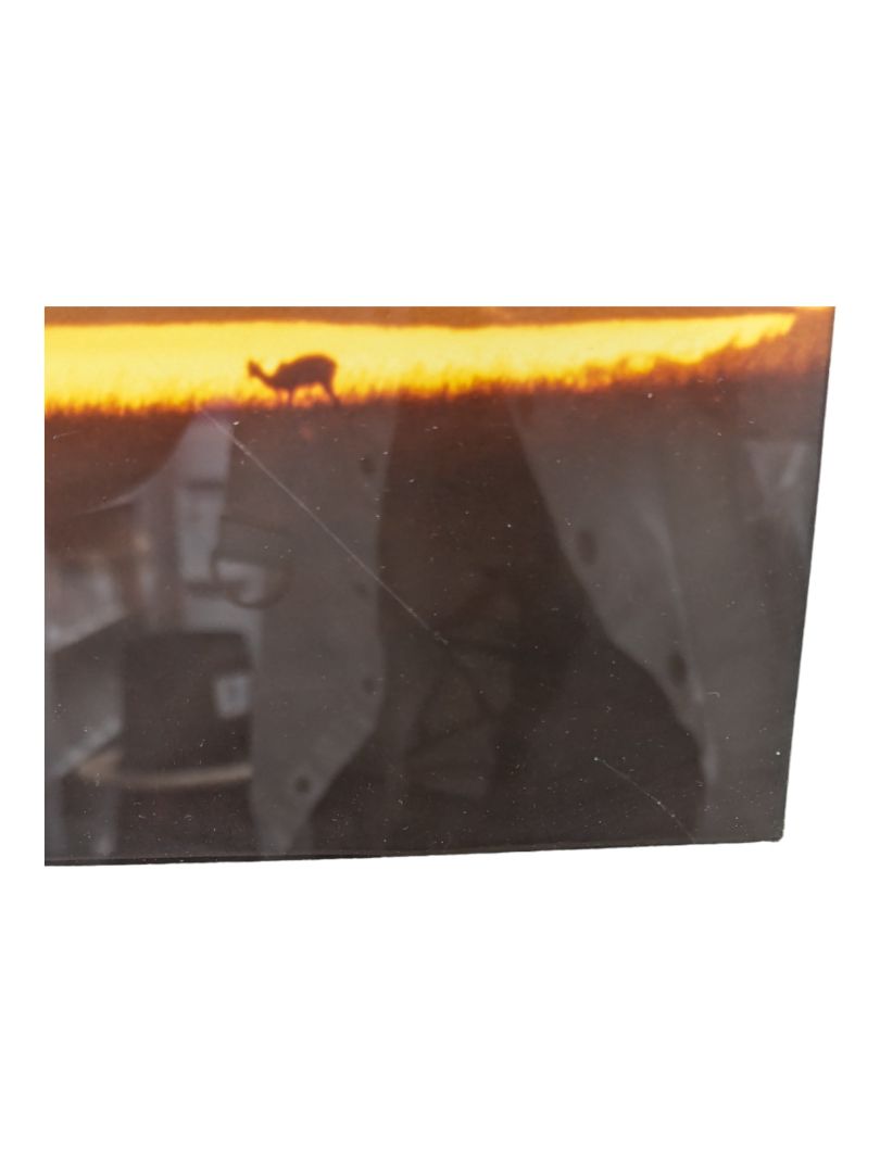 Framed Photography-Masai Mara, Kenya 1977