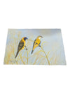 Vintage The birds of Africa, Painting
