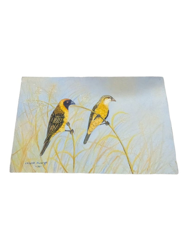 Vintage The birds of Africa, Painting