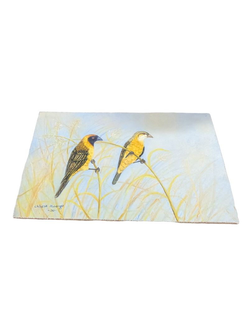 Vintage The birds of Africa, Painting