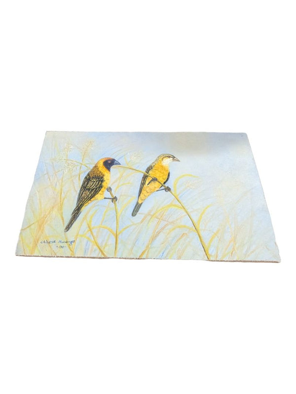 Vintage The birds of Africa, Painting