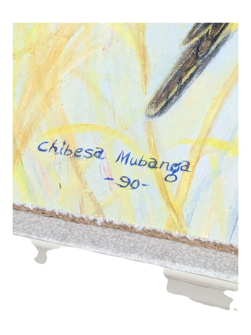 Vintage The birds of Africa, Painting