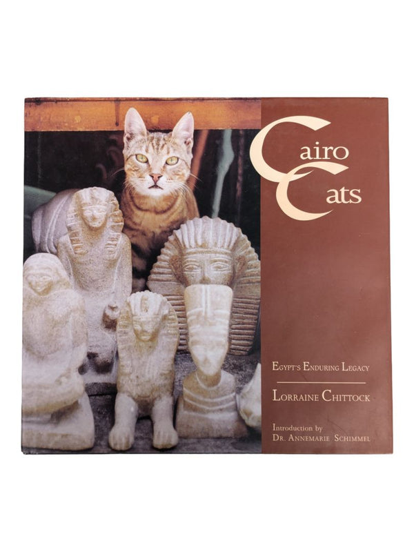 Cairo Cats-Hardcover
