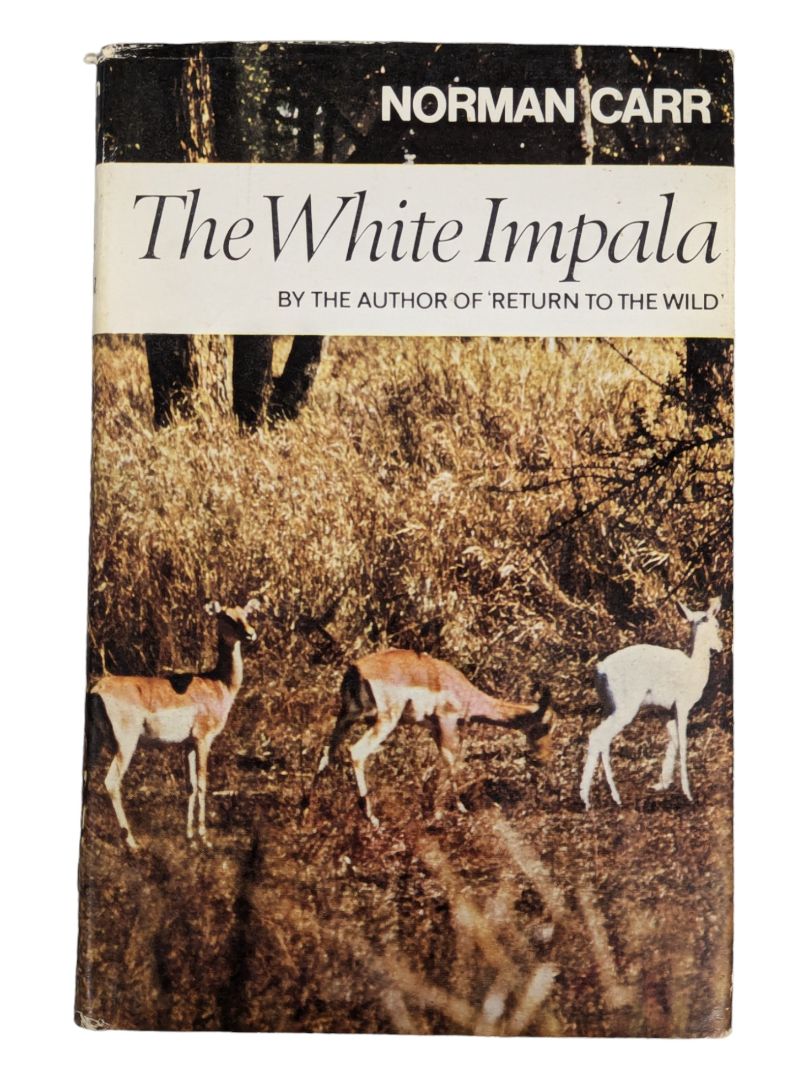 THE WHITE IMPALA ~ Norman Carr SIGNED HC/DJ 1969 1st Printing ILLUSTRATED