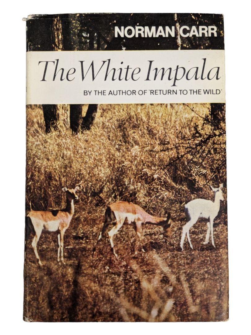 THE WHITE IMPALA ~ Norman Carr SIGNED HC/DJ 1969 1st Printing ILLUSTRATED