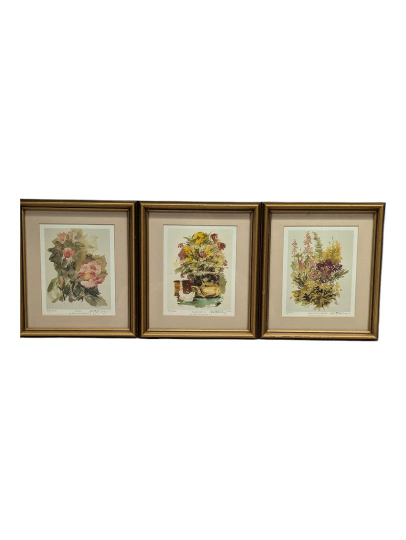 3 PC Peter Snyder Prints - Framed