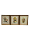 3 PC Peter Snyder Prints - Framed