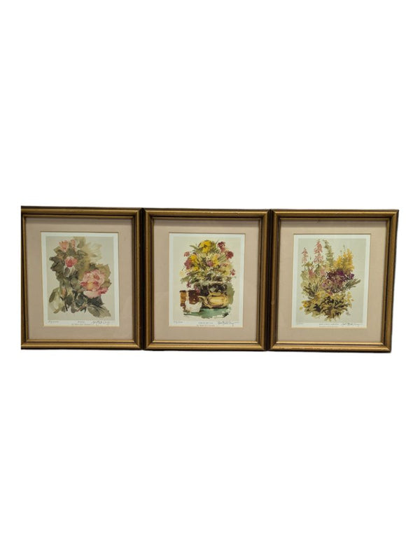 3 PC Peter Snyder Prints - Framed