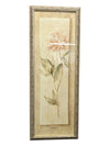Pair of Flower Portraits Rose & Peony