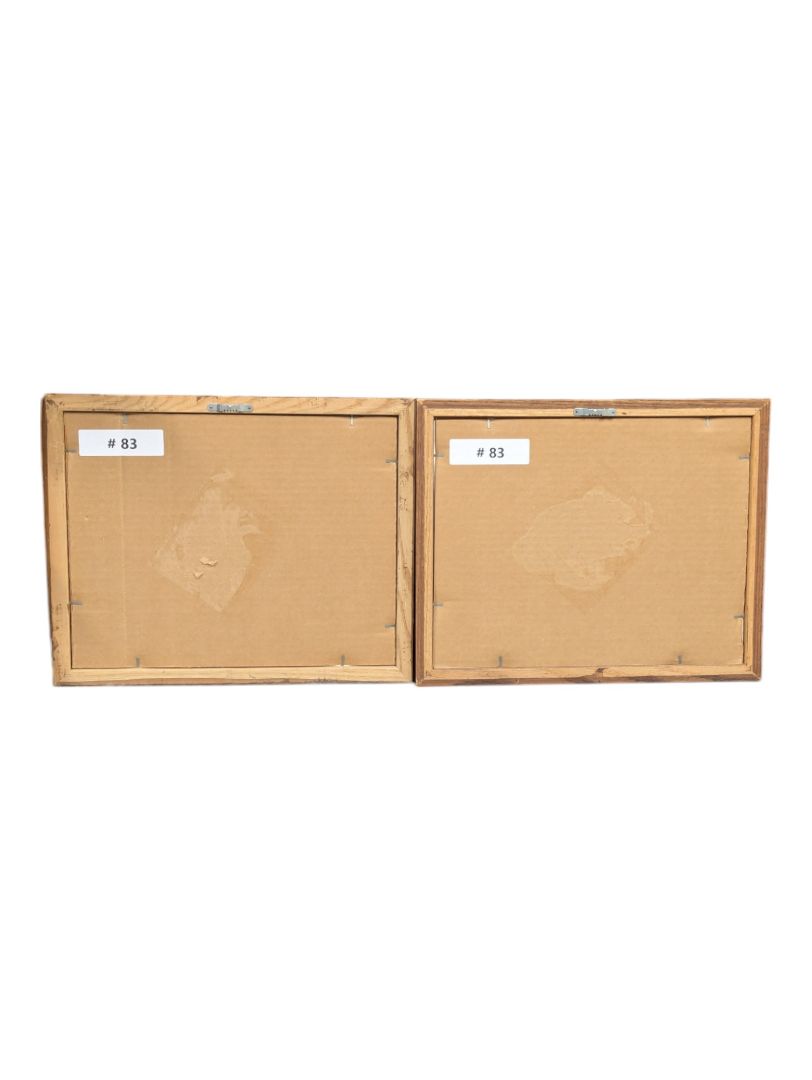 Pair of Framed Artwork