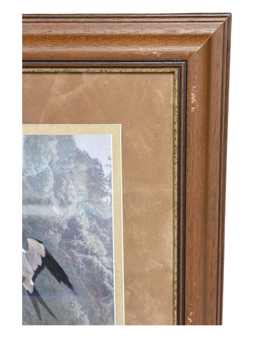 Bird Flying Framed Print