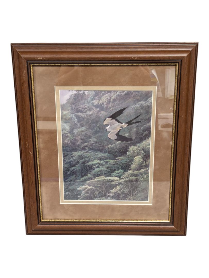 Bird Flying Framed Print