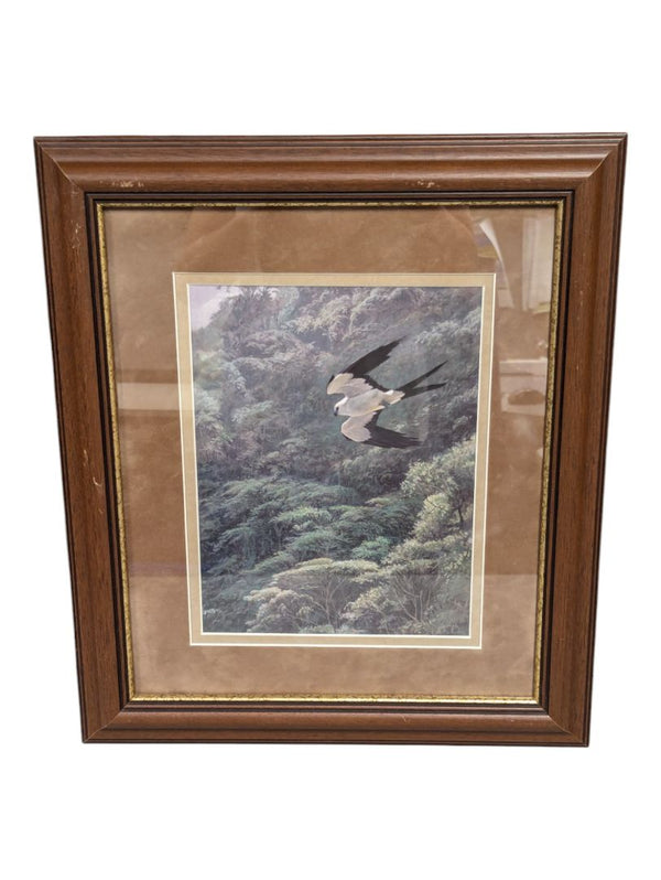 Bird Flying Framed Print