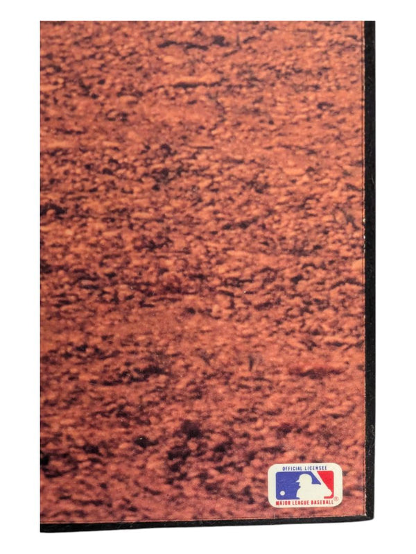 Texas Ranger Nike Poster 35 3/4" x 23 3/4"