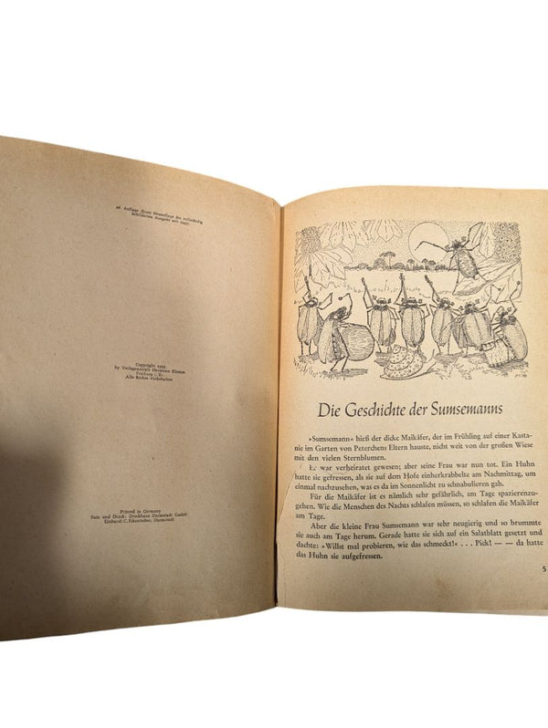 Deterchens Mondfahrt