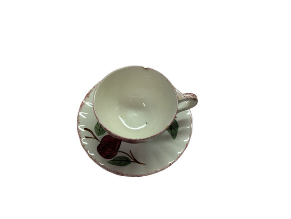 Crab Apple Blue Ridge Southern Pottery Dinner Set