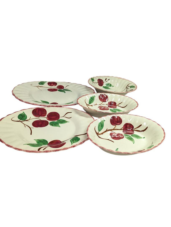 Crab Apple Blue Ridge Southern Pottery Dinner Set