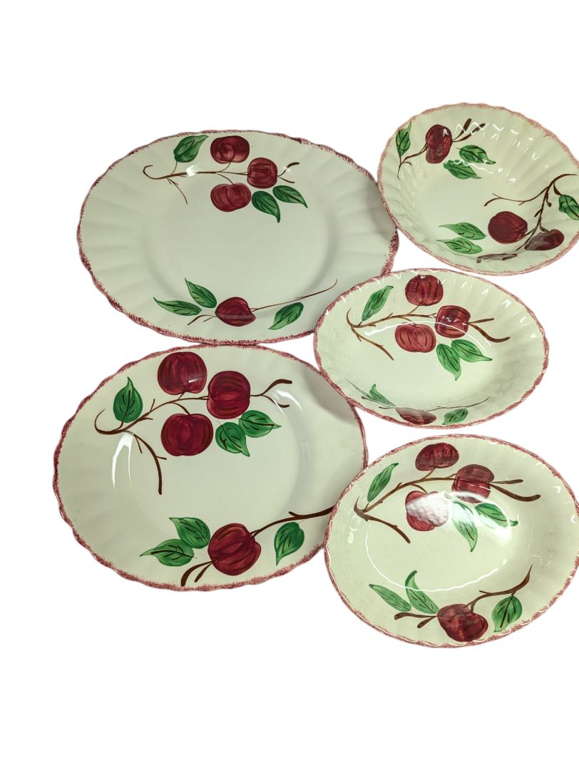 Crab Apple Blue Ridge Southern Pottery Dinner Set