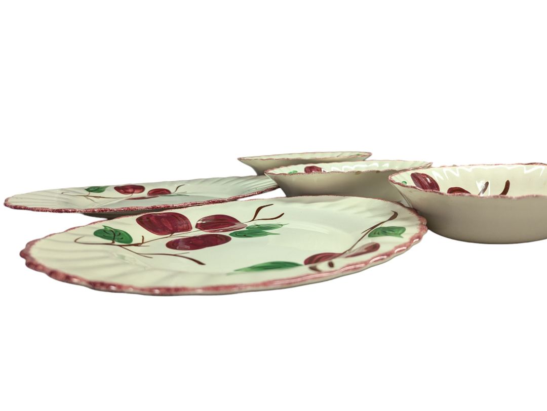 Crab Apple Blue Ridge Southern Pottery Dinner Set