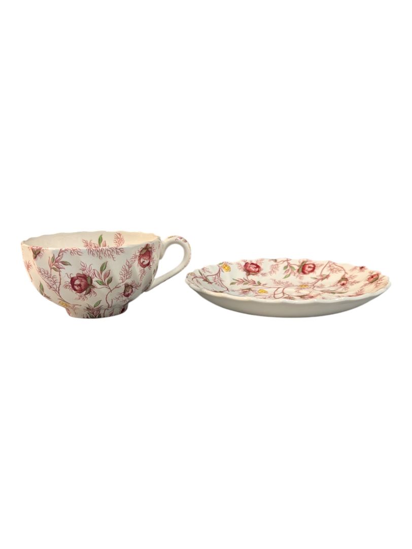 Spode 