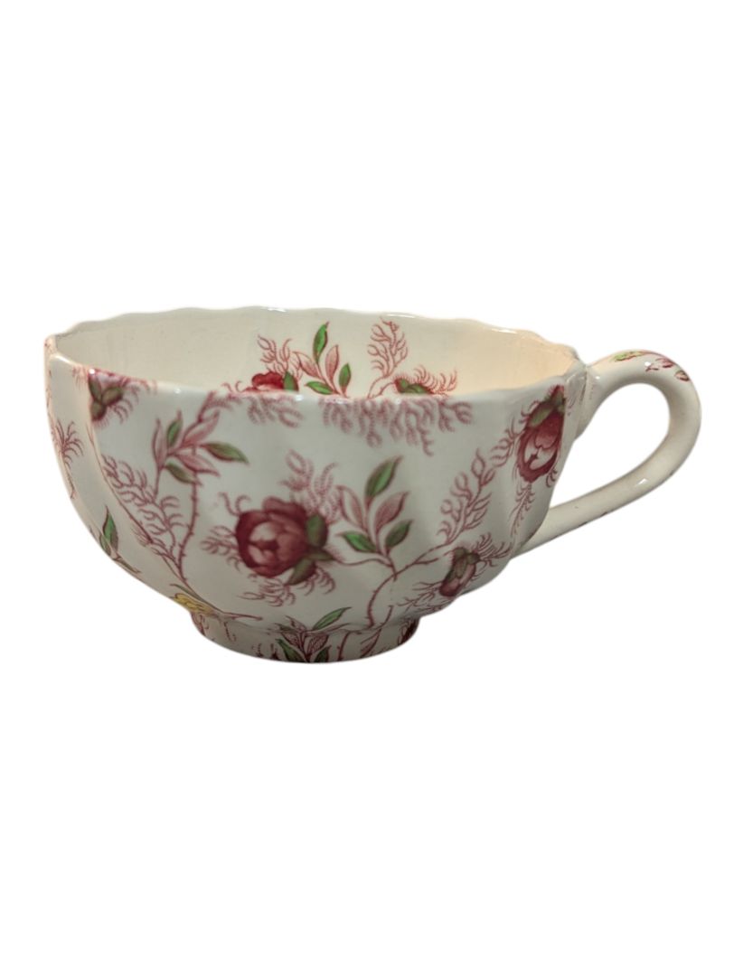 Spode 