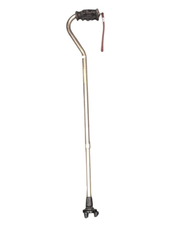 Gold Walking Cane 32-41" Tall