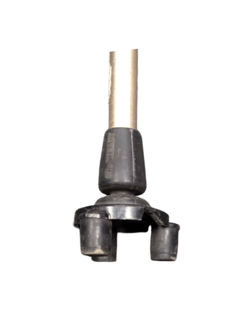 Gold Walking Cane 32-41