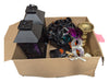 Lot of Halloween Decor